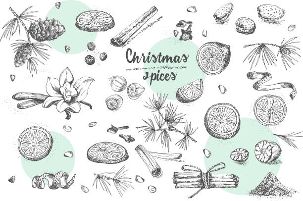손으로 그린 크리스마스 겨울 향신료 패턴의 설정. 전통적으로 만든된 디저트, 뜨거운 mulled 와인, 수 제 쿠키에 사용. - cardamom spice indian culture isolated stock illustrations