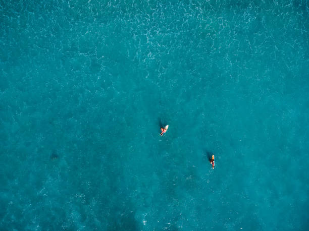 istock Surfers in tropical ocean waiting wave. Aerial view. 1058327706