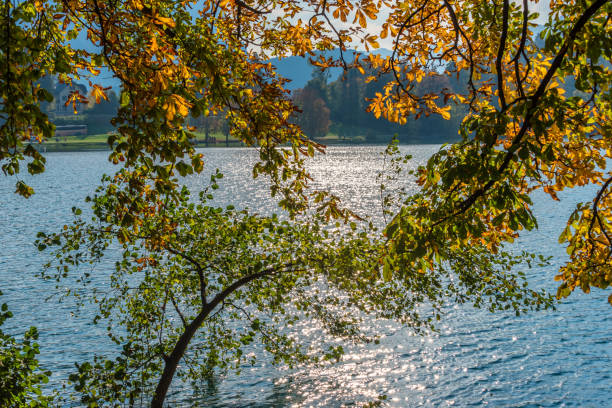 noch lake bled slowenien im herbst - 8435 stock-fotos und bilder