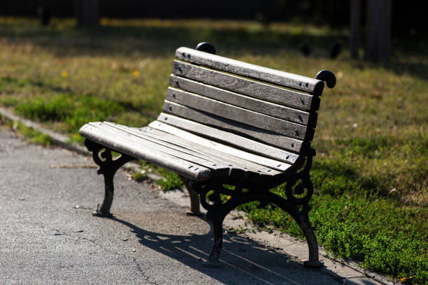 istock wooden bench in the park 1058333130