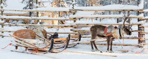 istock Reindeer sledge, in winter, Lapland, Finland 1058336134