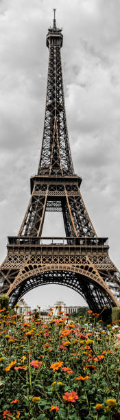 istock Eiffel Tower with orange flowers 1058339646