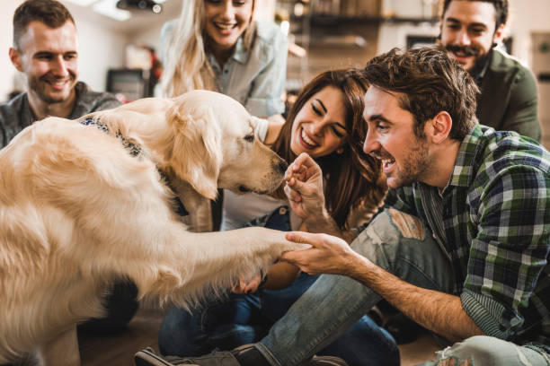istock Happy friends having fun while feeding their dog at home. 1058340770