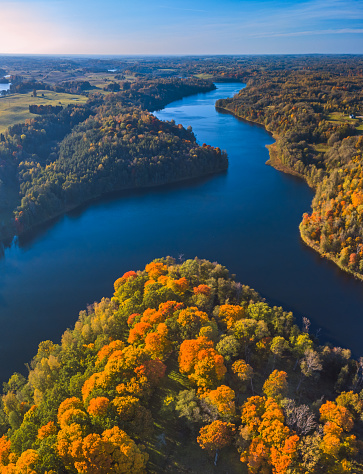 Aerial image of Colorful trees during Autumn