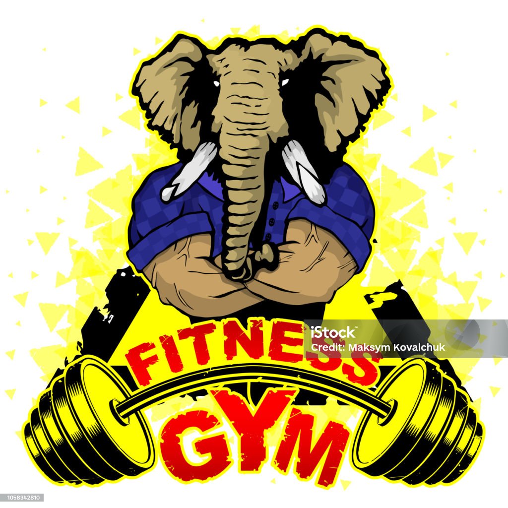 Vector Illustration Barbell And Strong Elephant No Pain No Gain  Inspirational Lettering Stock Illustration - Download Image Now - iStock