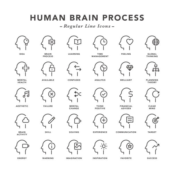 Human Brain Process - Regular Line Icons Human Brain Process - Regular Line Icons - Vector EPS 10 File, Pixel Perfect 30 Icons. mental process stock illustrations