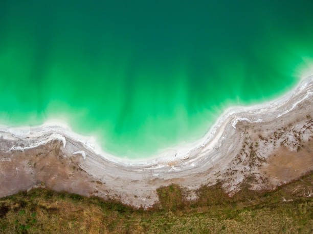 istock Azure lake top view, abstract fantasy green and brown pattern background 1058343700