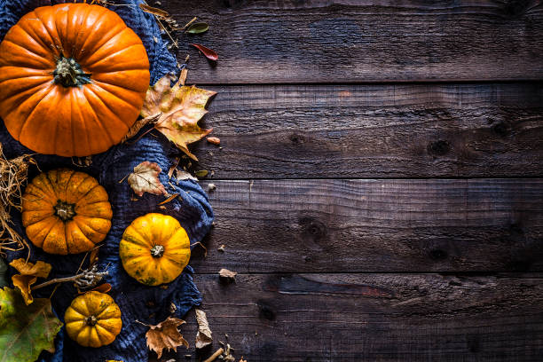fundo de abóbora feriado de thanksgiving day ou outono - thanksgiving pumpkin autumn october - fotografias e filmes do acervo