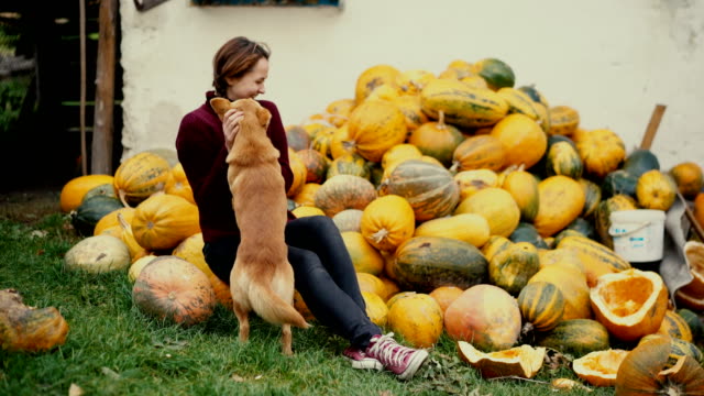 Woman playing with dog near huge amount of pumpkins