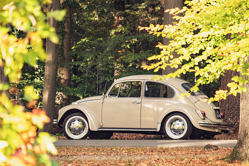 VW Beetle or officially the Volkswagen Type 1 classic car parked on the side of the road in a forest.
