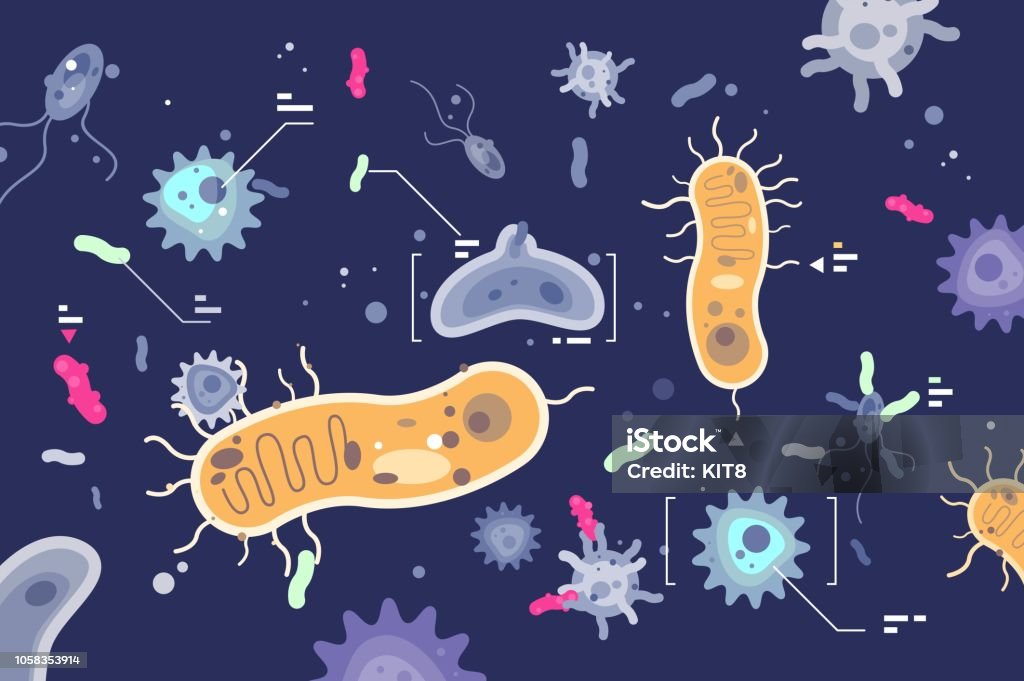 Different microbes bacterias microscopic world Different microbes bacterias microscopic world. Cartoon microorganisms set. Horizontal flat vector illustration. Bacterium stock vector