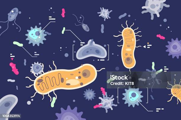 Different Microbes Bacterias Microscopic World Stock Illustration - Download Image Now - Bacterium, Virus, Variation