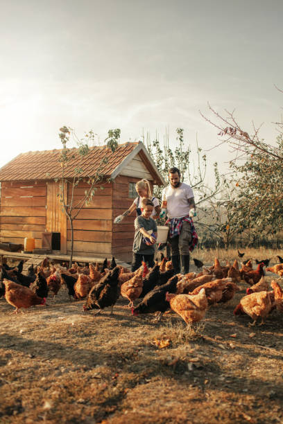 istock Family Feeding Chickens Together 1058363004