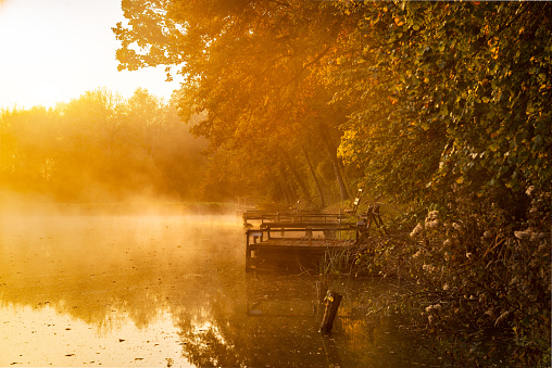 Autumn lake at morning