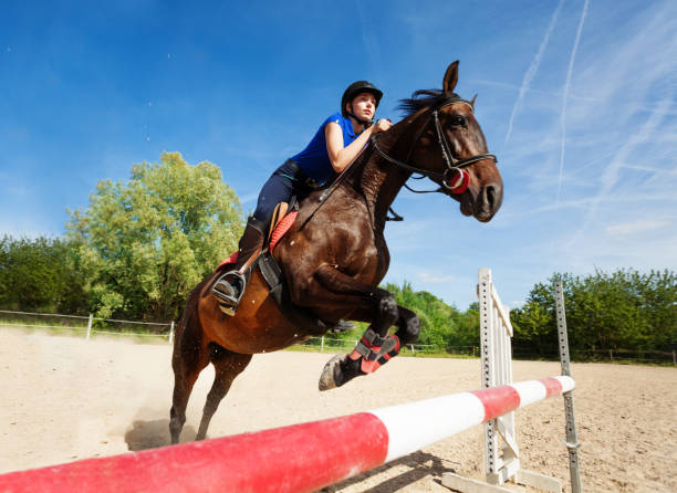 istock Horse jumping barrier during training at racetrack 1058365136