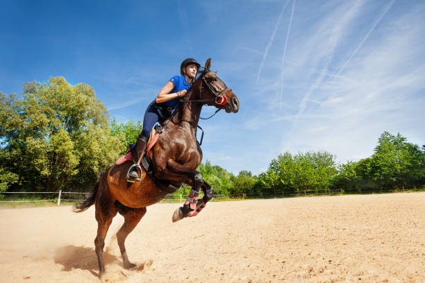 istock Jumping horse and rider practicing at racetrack 1058365146