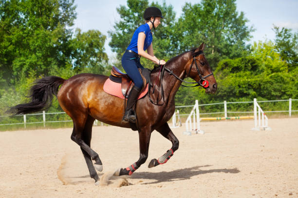 istock Female jockey galloping on horseback between jumps 1058365160
