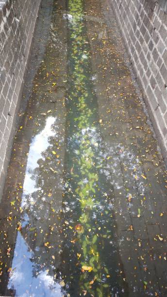 istock Leaves fallen in canal with flowing water 1058366268