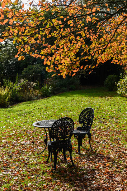 istock Autumn scene in a country garden 1058372342