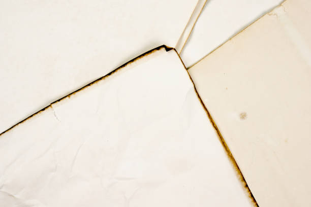 istock rough beige paper grunge background texture for design 1058372896