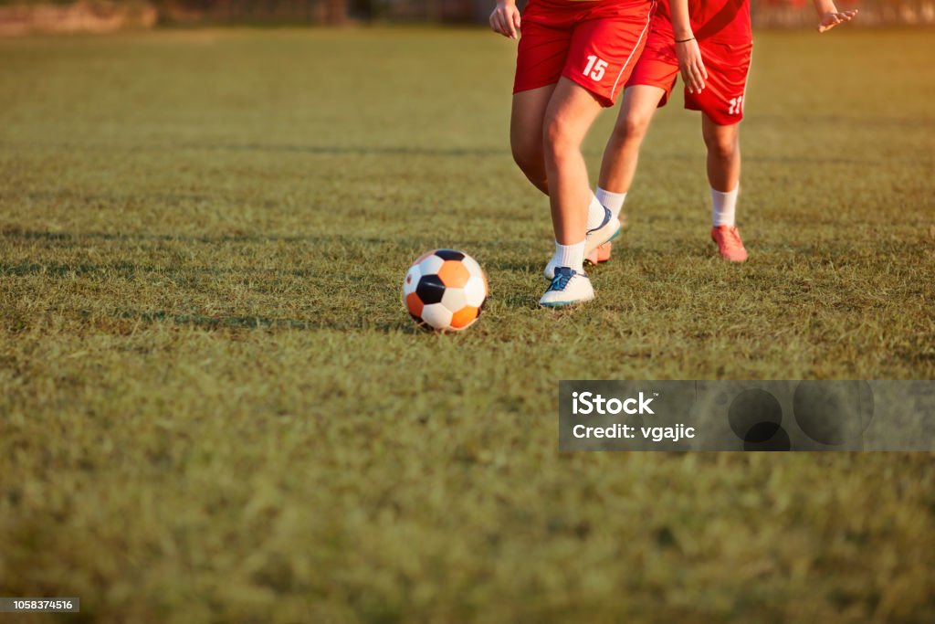 Women's Soccer Team Women's Soccer Team On Training on Soccer Stadium. Soccer Stock Photo