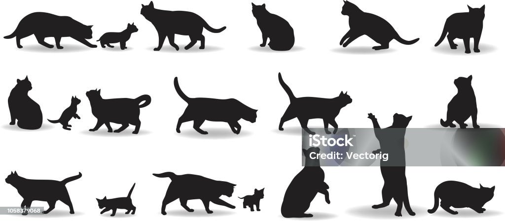 Cats Domestic Cat silhouette Domestic Cat stock vector