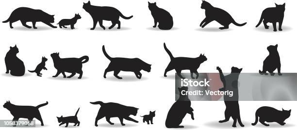 Cats Stock Illustration - Download Image Now - Domestic Cat, Undomesticated Cat, Icon Symbol