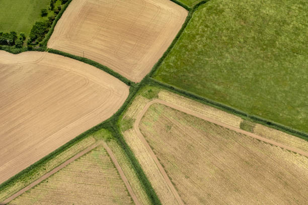 istock Aerial views over Patchwork farmland, North Cornwall on a June day. 1058380488