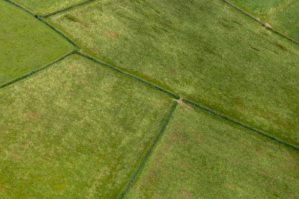 istock Aerial views over Patchwork farmland, North Cornwall on a June day. 1058380508