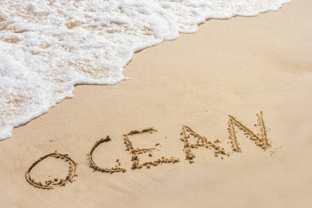 istock Sandy beach with surf and the written in sand word Ocean 1058388896