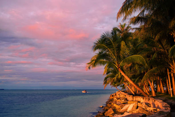 istock Coconut Palm Tree On Beach at sunrise 1058390450