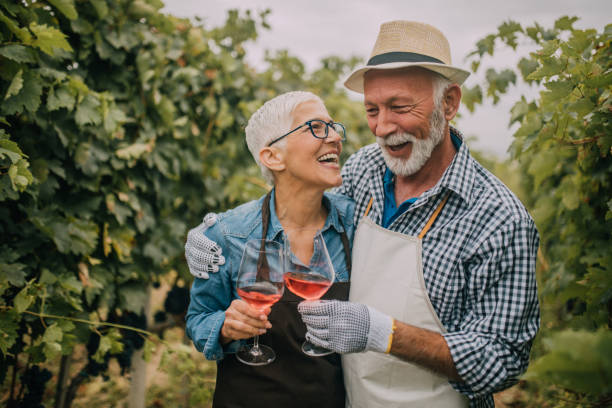 istock Smiling couple looking at each other when drinking rose wine 1058392178