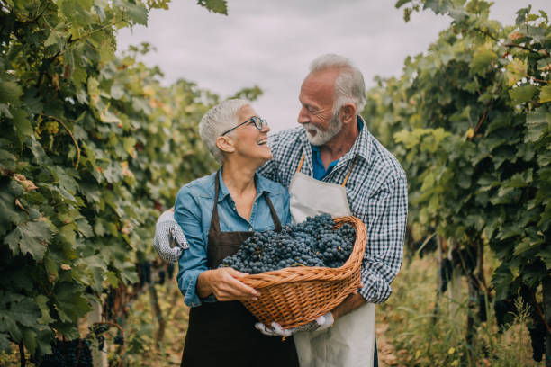 istock Couple with a basket full of grapes 1058392398