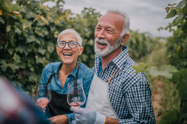 uśmiechnięta para seniorska - senior adult caucasian farmer grape harvesting zdjęcia i obrazy z banku zdjęć