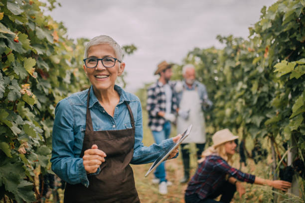 mujer feliz con tableta digital - winemaking vintner winery people fotografías e imágenes de stock