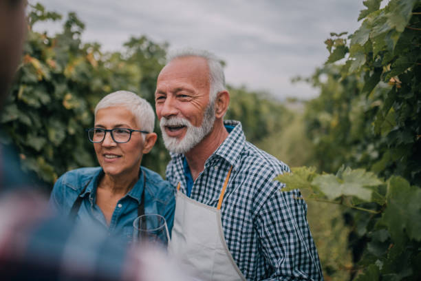 istock Senior couple smiling 1058394720