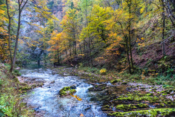 istock River in a Canyon in Slovenia 1058395962