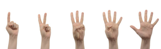 istock Female hand counting from one to five isolated on white background 1058396430