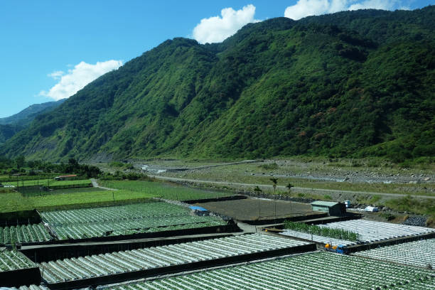 istock Landscape Mountain in taiwan . 1058403362