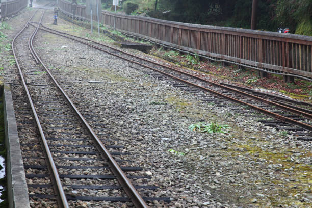 istock Train way in Alishan national park. 1058404198