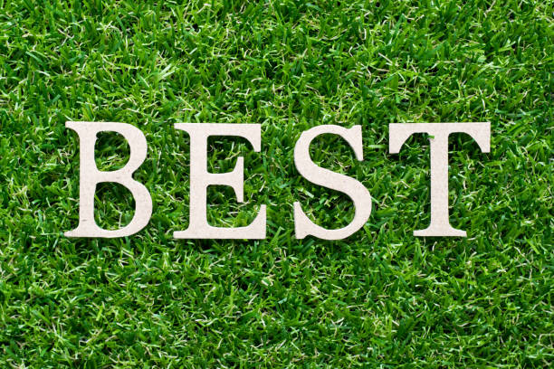 istock Wood alphabet in word best on artificial green grass background 1058408460