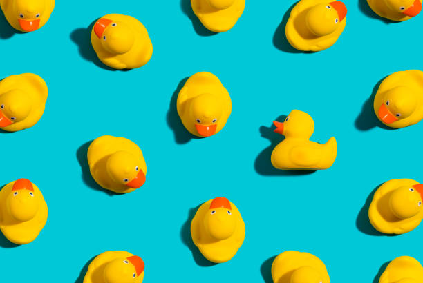 un concept de canard en caoutchouc unique - duckie photos et images de collection