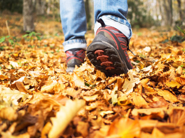 istock Go hiking in fall leaves. 1058409744