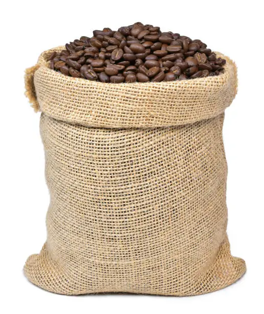 Roasted coffee beans in a burlap sack. Sackcloth bag with coffee beans, isolated on white background. Coffee export.