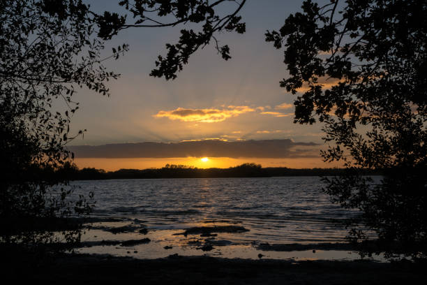istock sunset over the lake, view through the black tree silhouettes on the shore, copy space 1058416560