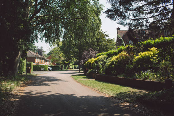 istock Road Amidst Trees And Houses Against Sky 1058419892