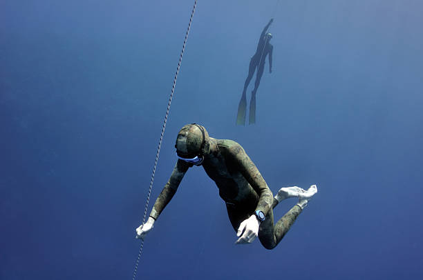 istock Different stages of freediving training 105842274