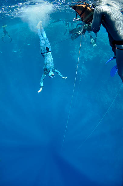 istock In the beggining of dive 105842403