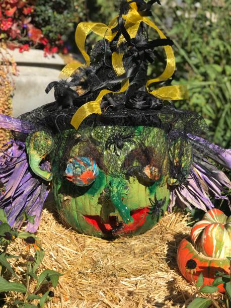 istock Wicked Witch of the WEST 1058430342
