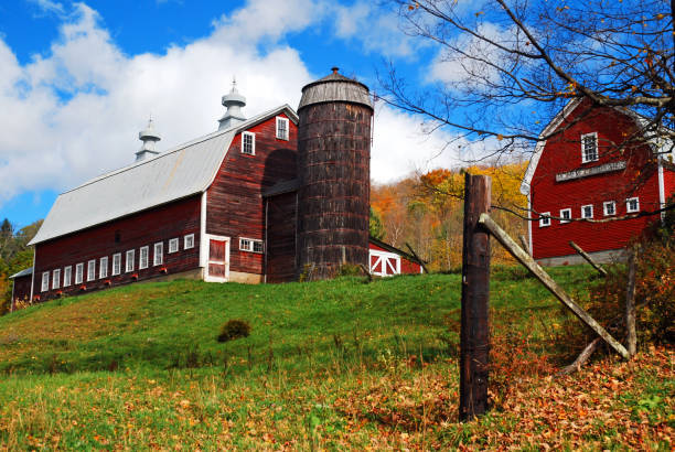 scena rurale, vermont - vermont farm dairy farm agricultural building foto e immagini stock